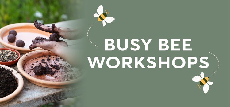 Busy Bee Workshops